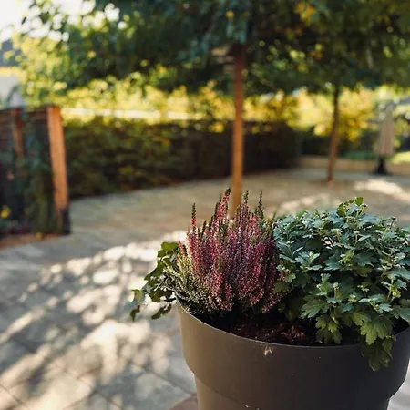 Restaurant La Charrue Sand