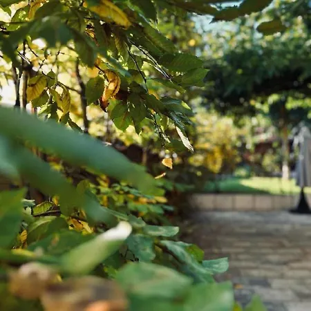 Restaurant La Charrue ホテル Sand