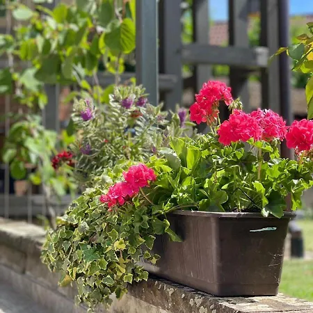 Restaurant La Charrue ホテル Sand