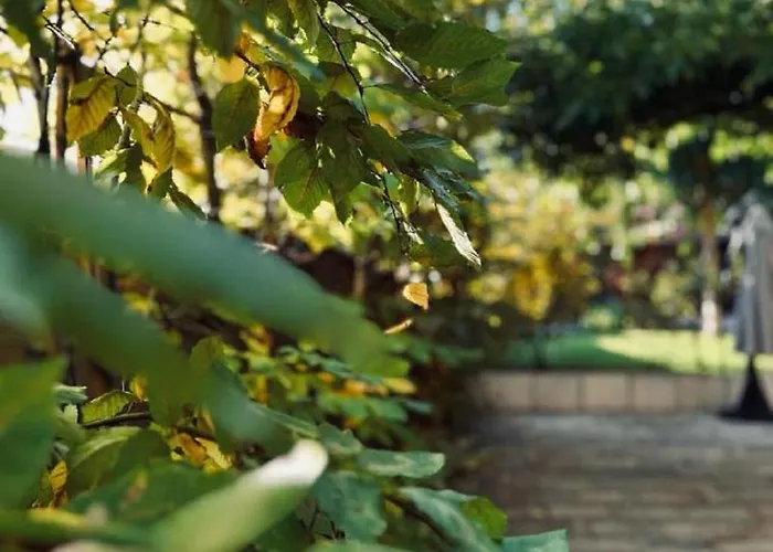 Restaurant La Charrue Hotel Sand